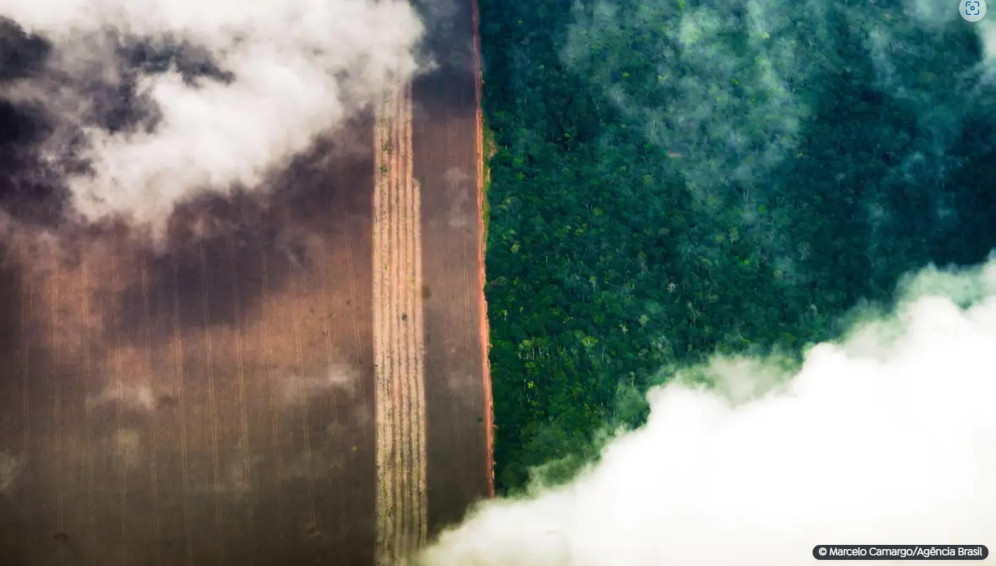 Conhecimento indígena pode melhorar relação com o meio ambiente