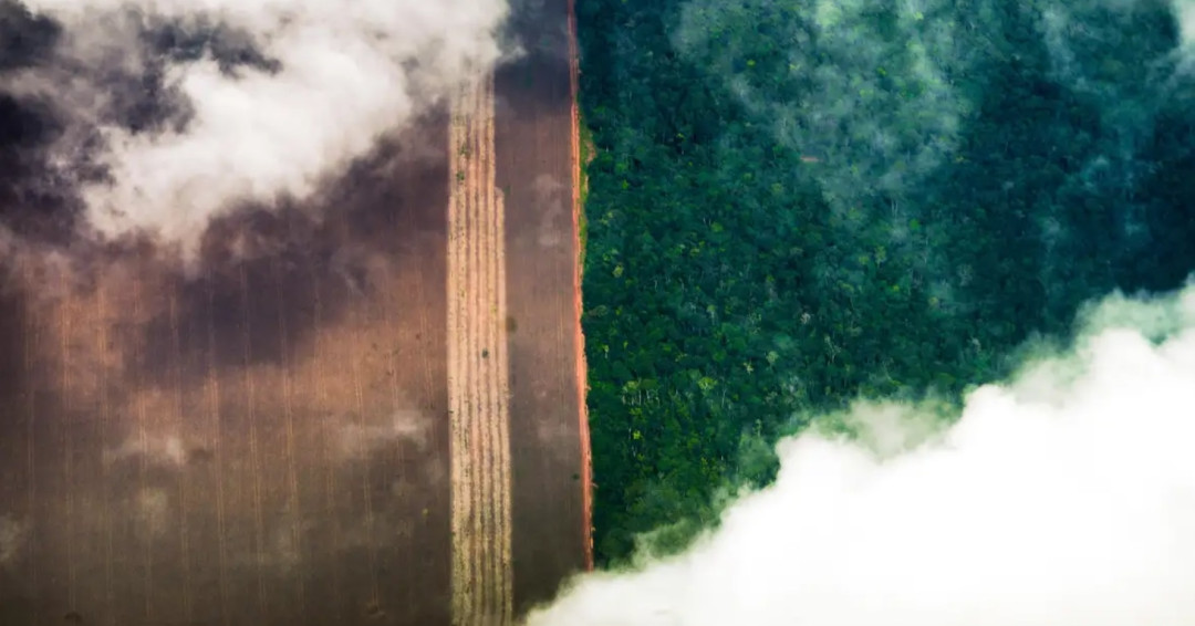 Conhecimento indígena pode melhorar relação com o meio ambiente