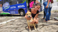 Programa Castra Pet realiza mais 40 castrações de cães e gatos em Penedo