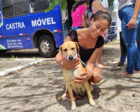 Programa Castra Pet realiza mais 40 castrações de cães e gatos em Penedo