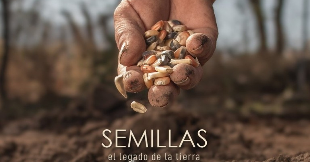Circuito Penedo de Cinema anuncia Mostra Internacional Socioambiental de Curtas