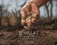 Circuito Penedo de Cinema anuncia Mostra Internacional Socioambiental de Curtas