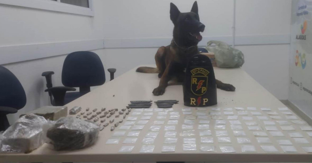 Polícia Militar realiza prisões e apreensões na capital e no interior do estado