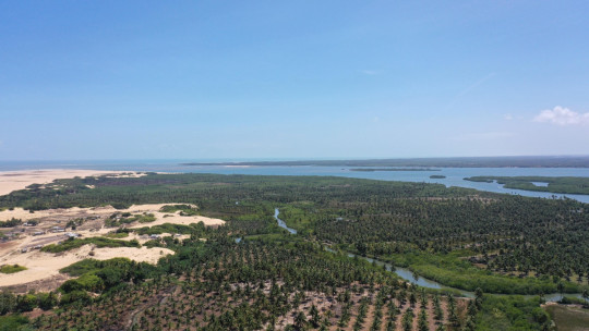 MPF recomenda medidas à Prefeitura de Piaçabuçu (AL) para proteger a biodiversidade no carnaval