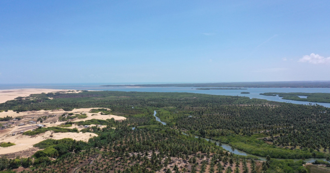 MPF recomenda medidas à Prefeitura de Piaçabuçu (AL) para proteger a biodiversidade no carnaval