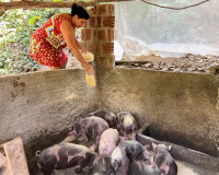 Primeira parcela do programa Fomento Rural é paga a agricultores familiares a partir de terça-feira