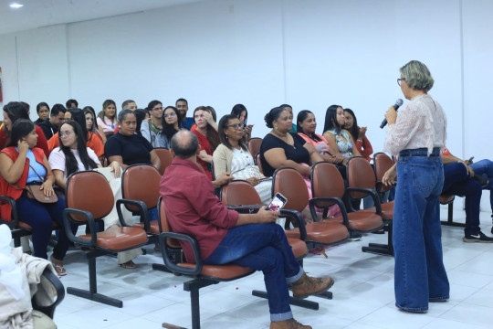 Servidores da Prefeitura de Penedo são atualizados sobre o Sistema de Informação para a Infância e Adolescência