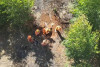 Denúncia de suposto achado de cadáver em Penedo mobiliza Corpo de Bombeiros
