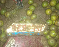 Motorista morre após ser ejetado de caminhão em tombamento na BR-101, em Porto Real do Colégio