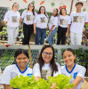 Startup alagoana inaugura projeto de hortas hidropônicas em escola pública