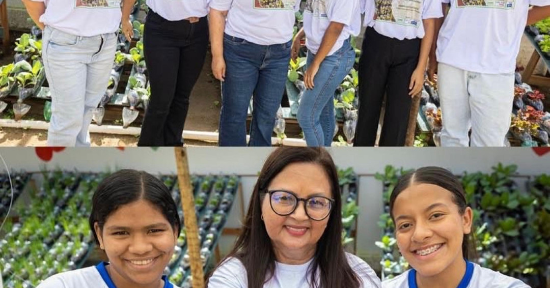 Startup alagoana inaugura projeto de hortas hidropônicas em escola pública