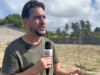 Litoral Sul e Baixo São Francisco órfãos de um representante