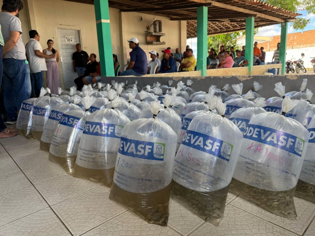 Criação de peixe em tanques escavados gera emprego e renda para agricultores penedenses