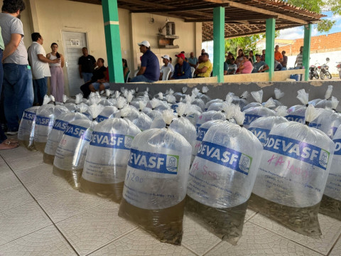 Criação de peixe em tanques escavados gera emprego e renda para agricultores penedenses