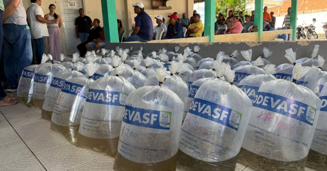 Criação de peixe em tanques escavados gera emprego e renda para agricultores penedenses