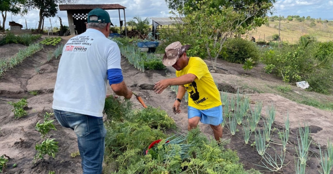 Prefeitura de Penedo e Senar abrem inscrição para cursos gratuitos de produção de hortaliças e de criação de peixe