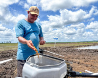 Programa leva inovação e tecnologia para melhorar produtividade do Baixo São Francisco