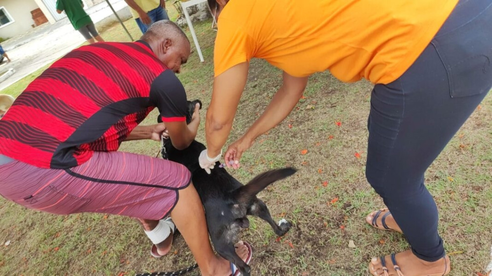 Abertura da campanha antirrábica em Penedo vacina cerca de 8 mil animais