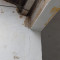 Após denúncia de casa com risco de desabamento, Bo