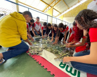 Estudantes da rede pública aprendem com gincana ambiental do IMA e Semarh Penedo