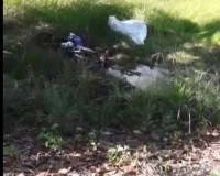 Jovem é encontrado morto com ferimentos graves pelo corpo no Pontal do Coruripe