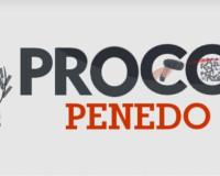Procon Penedo já recebe denúncias online e por whatsapp, confira aqui!