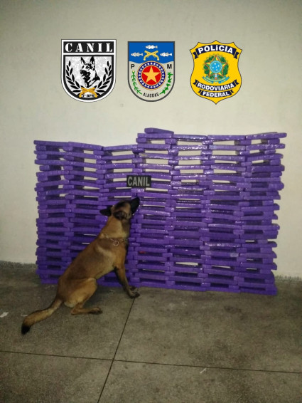 Polícia Militar detém suspeito e apreende grande quantidade de maconha na BR 101, em São Sebastião