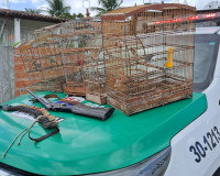 Batalhão Ambiental apreende armas e resgata animais silvestres em Igreja Nova e Porto Real do Colégio