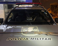 Em uma semana, PM retira das ruas mais de 160 kg de drogas e 23 armas de fogo