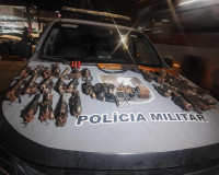 Rotam encontra 30 armas de fogo artesanais e uma espingarda enterradas em matagal de Alagoas