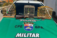 Polícia Ambiental apreende seis armas, um simulacro e resgata cinco aves silvestres