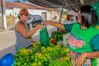 Feira da Agricultura Familiar em Penedo avança com Projeto Quintais Produtivos