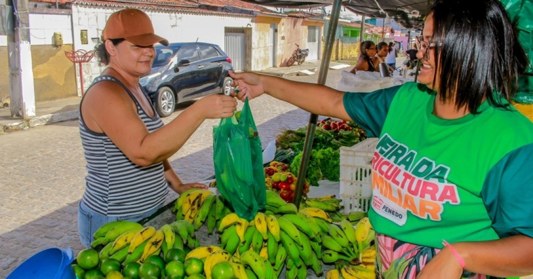 Feira da Agricultura Familiar em Penedo já inclui produtores da cidade e avança com Projeto Quintais Produtivos