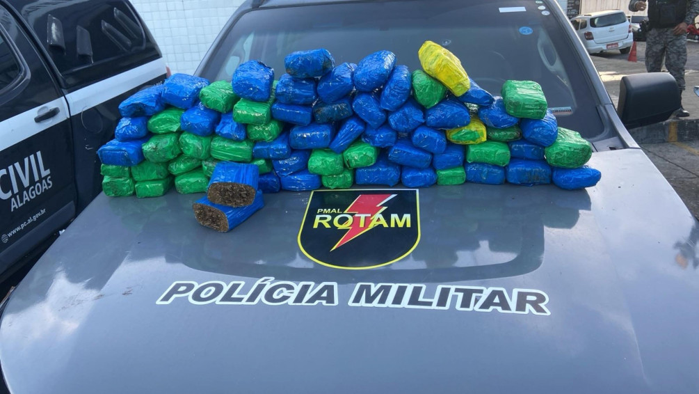 Rotam apreende quase 40kg de maconha em terreno baldio na Cidade Universitária