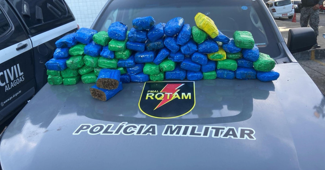Rotam apreende quase 40kg de maconha em terreno baldio na Cidade Universitária