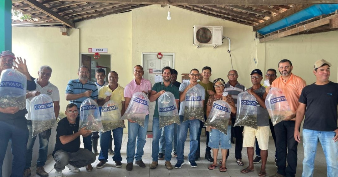 Parceria distribui 50 mil alevinos em Penedo, sem custo para produtores de pequeno porte