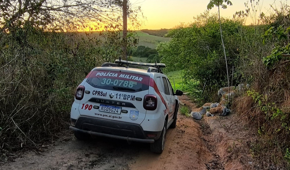 Proprietário de fazenda localizada na zona rural de Penedo é autuado por furto de energia elétrica