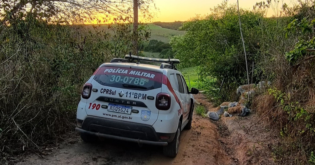 Proprietário de fazenda localizada na zona rural de Penedo é autuado por furto de energia elétrica