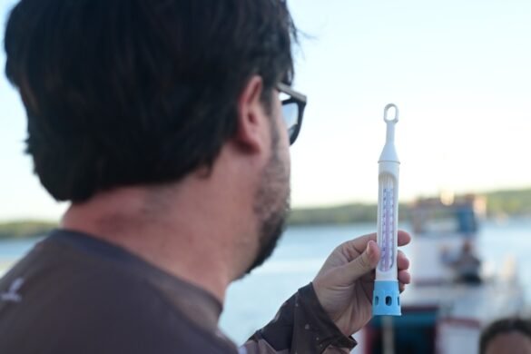 WhatsApp Image 2025-11-13 at 08.33.34