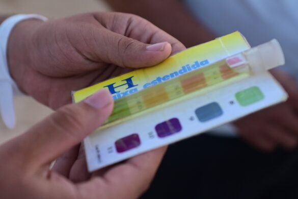 WhatsApp Image 2025-11-13 at 08.33.36