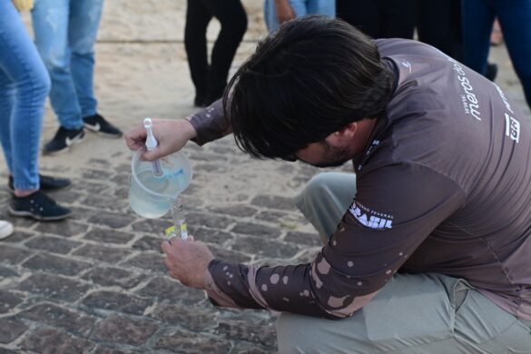 WhatsApp Image 2025-11-13 at 08.33.37 (1)